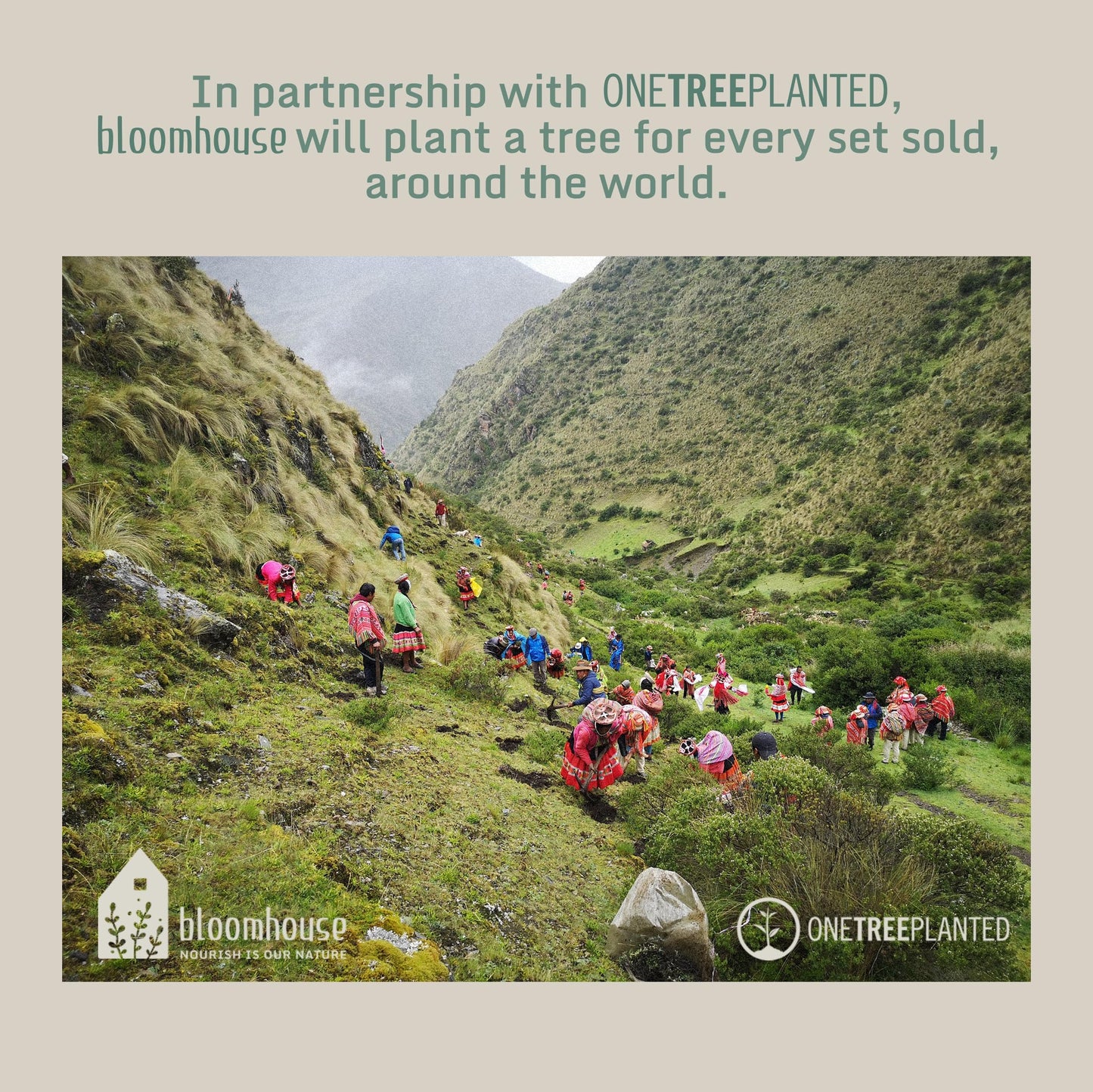 Bloomhouse 12-Piece Aluminum Ceramic Nonstick Cookware Set, Periwinkle Blue